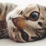 Profile picture of chris