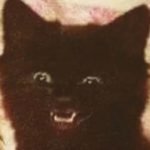 Profile picture of Alex