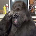 Profile picture of sam