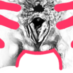 Profile picture of jargo