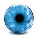 Profile picture of mopo