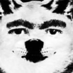 Profile picture of Joseph