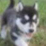 Profile picture of Draxer