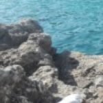 Profile picture of Rafayel